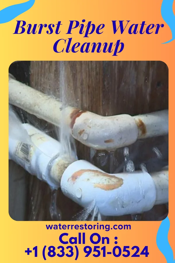 Burst Pipe Water Cleanup in Macy, IN