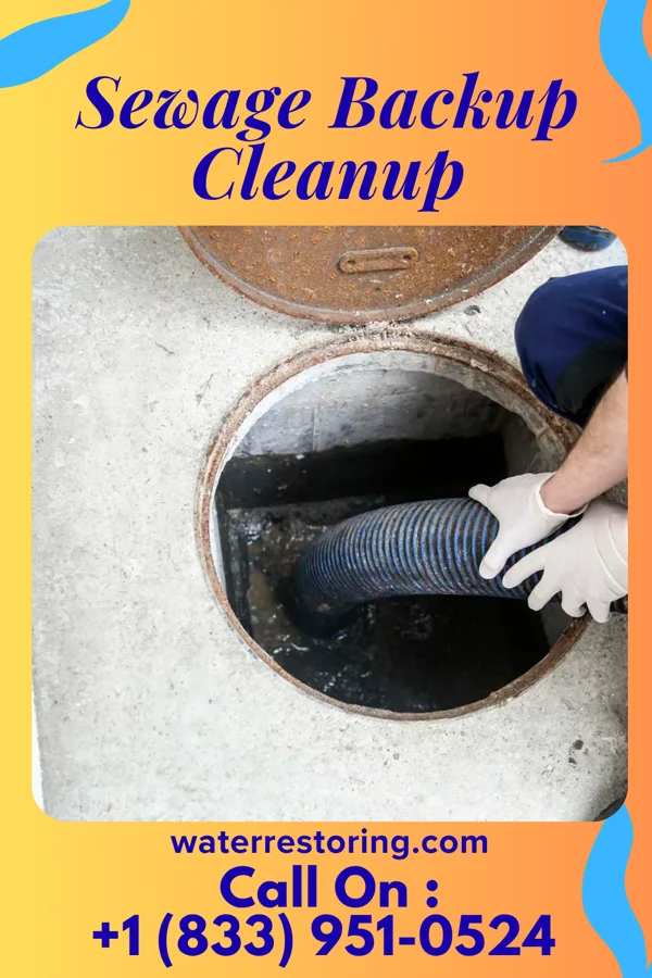 Sewage Backup Cleanup in Macy, IN