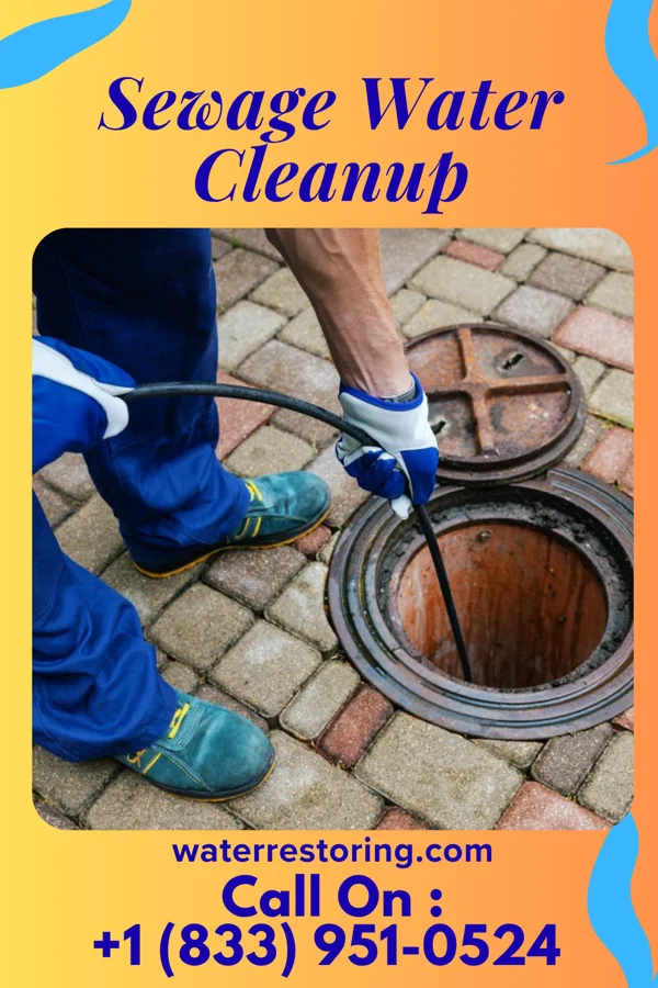 Sewage Water Cleanup in Macy, IN